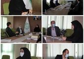 ماجرای حلق‌آویز کردن بچه روباه‌ها در کمالشهر+عکس