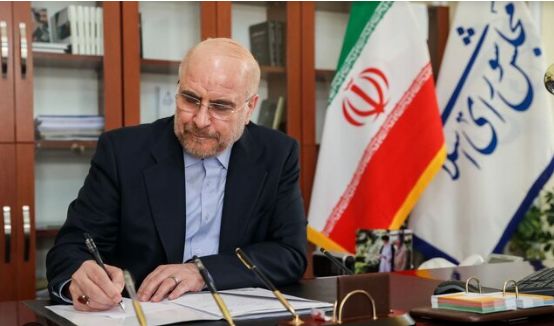 پیام تبریک رئیس مجلس در پی قهرمانی تیم ملی کشتی فرنگی جوانان