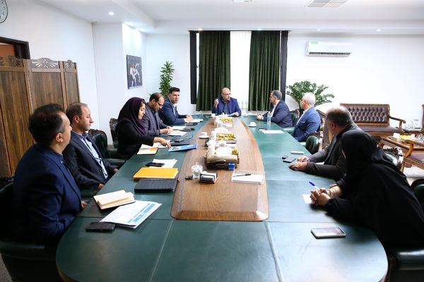 دومین نشست تخصصی با مسئولین فدراسیون انجمن‌های ورزش‌های رزمی برگزار شد