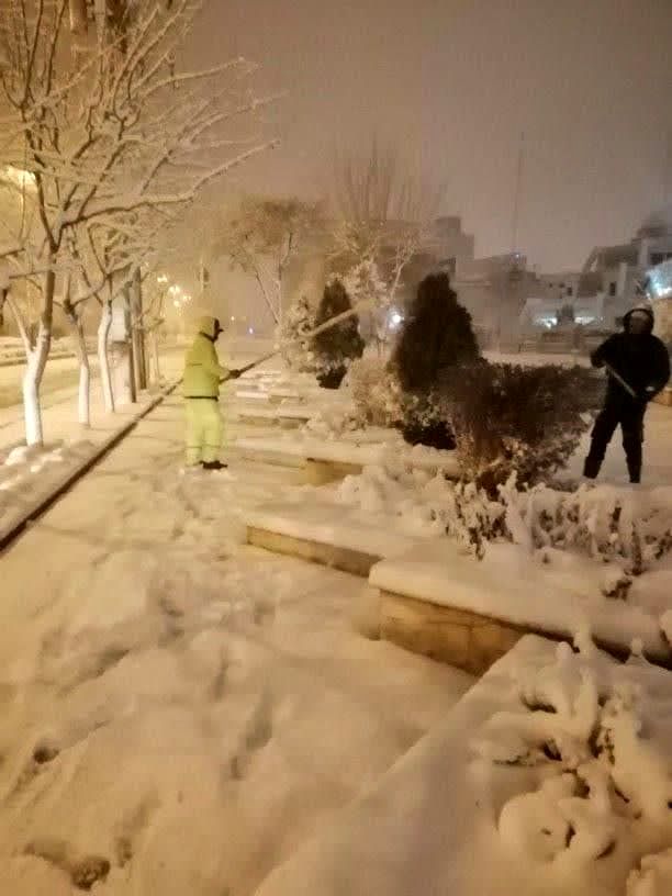 ۴۲۲ نیروی اجرایی مشغول برف تکانی درختان سطح شهر هستند

