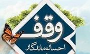 با حضور رئیس اوقاف ناحیه و دو امام جمعه بخش: نشست تخصصی وقف در سلفچگان برگزار شد