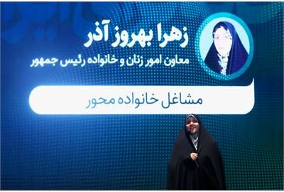 مشاغل خانگی، سرمایههای اجتماعی - عاطفی جامعه هستند