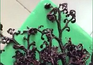 مشاهده موجودات عجیب دریایی + عکس