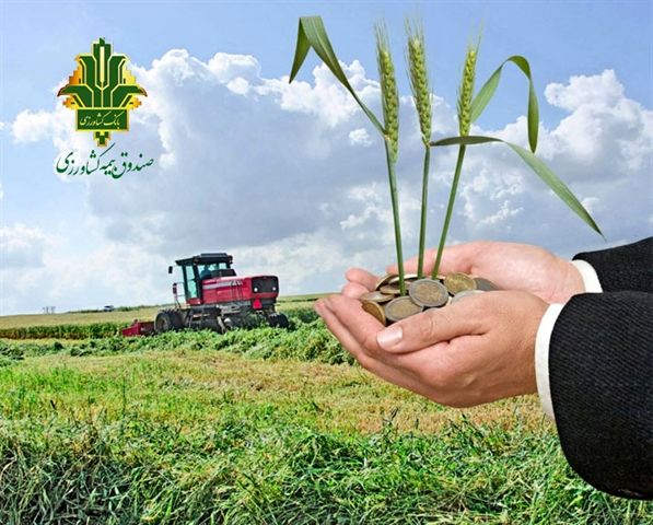 تحقق 118درصدی برنامه بیمه زراعت توسط صندوق بیمه کشاورزی در سال زراعی جاری
