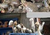 اقدام عجیب یک دبیرستان پسرانه در مشهد +عکس 