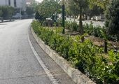 نشست مشترک سرپرست بیمه معلم با رئیس جمعیت هلال‌احمر