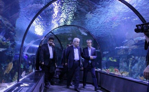 منطقه آزاد انزلی از ظرفیت بالایی در حوزه دانش‌بنیان برخوردار است