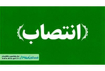مدیرکل دفتر امور فرهنگی وزارت تعاون، کار و رفاه اجتماعی منصوب شد