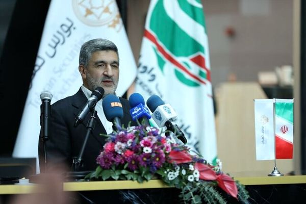جزئیات بازار سرمایه از زبان رئیس سازمان بورس