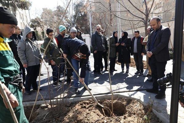 درختکاری با حضور کودکان کمتوان ذهنی تحت پوشش مؤسسه توانبخشی ولیعصر (عج)