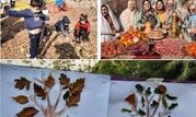 جشنی با  طعم و رنگ پاییز برای شهروندان منطقه2 

