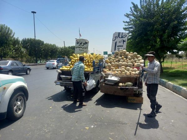 ‍ ساماندهی صنوف و ارتقای انضباط شهری در منطقه ۱۹

