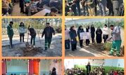 آموزش بیش از ۴۱ هزار نفر در حوزه محیط زیست و توسعه فضای سبز منطقه ۱۹ در سال ۱۴۰۳