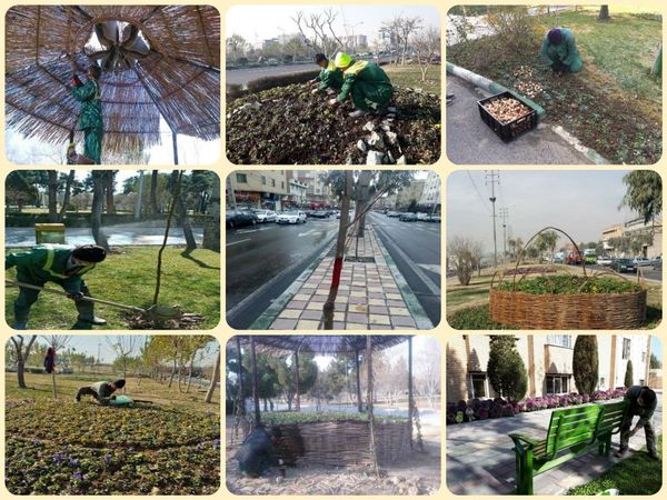  کاشت 65 هزار گلدان و درخت در منطقه ۱۵

