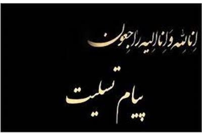 پیام تسلیت وزیرتعاون، کار و رفاه اجتماعی به سالاری

